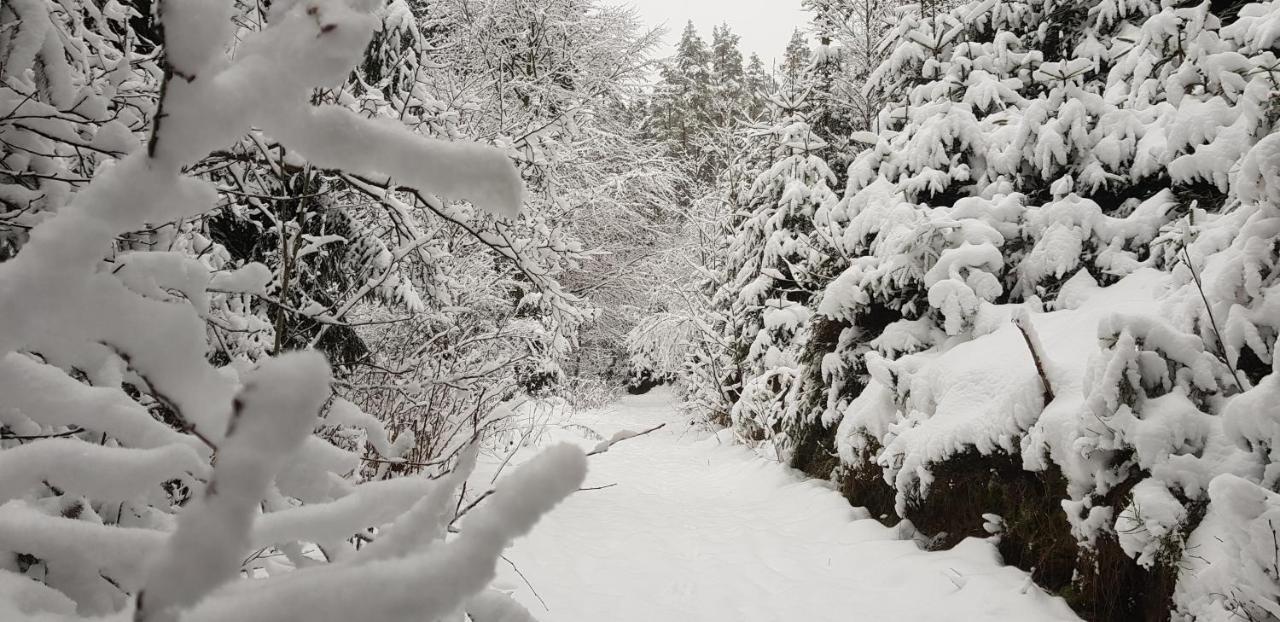 Podskali Adrspach Teplice nad Metují 外观 照片